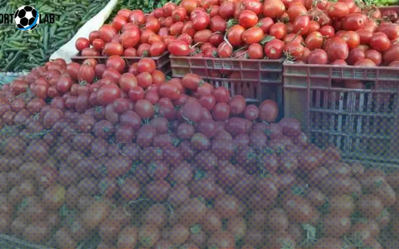 أسواق أسيوط تشهد إقبالاً كبيراً على طماطم المنيا بأسعار منخفضة